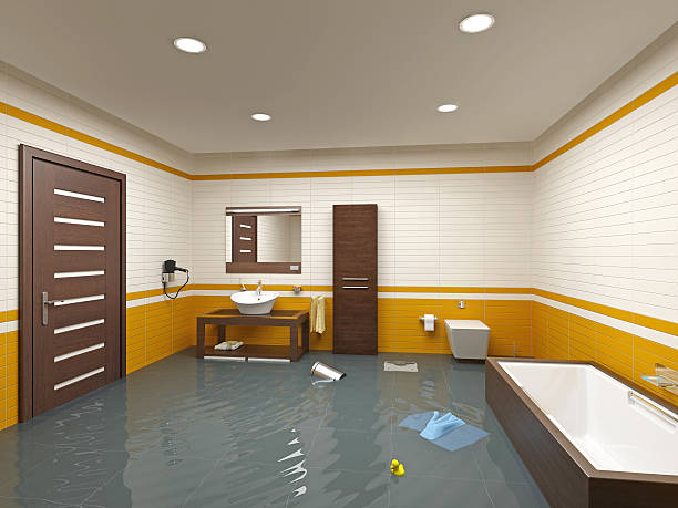 Best Wood Floor Water Damage Restoration in Colusa, CA